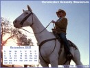 Malcolm Calendriers sur la s�rie 