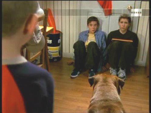 Épisode Une vie de chien S03E17 - Malcolm in the Middle Saison 3